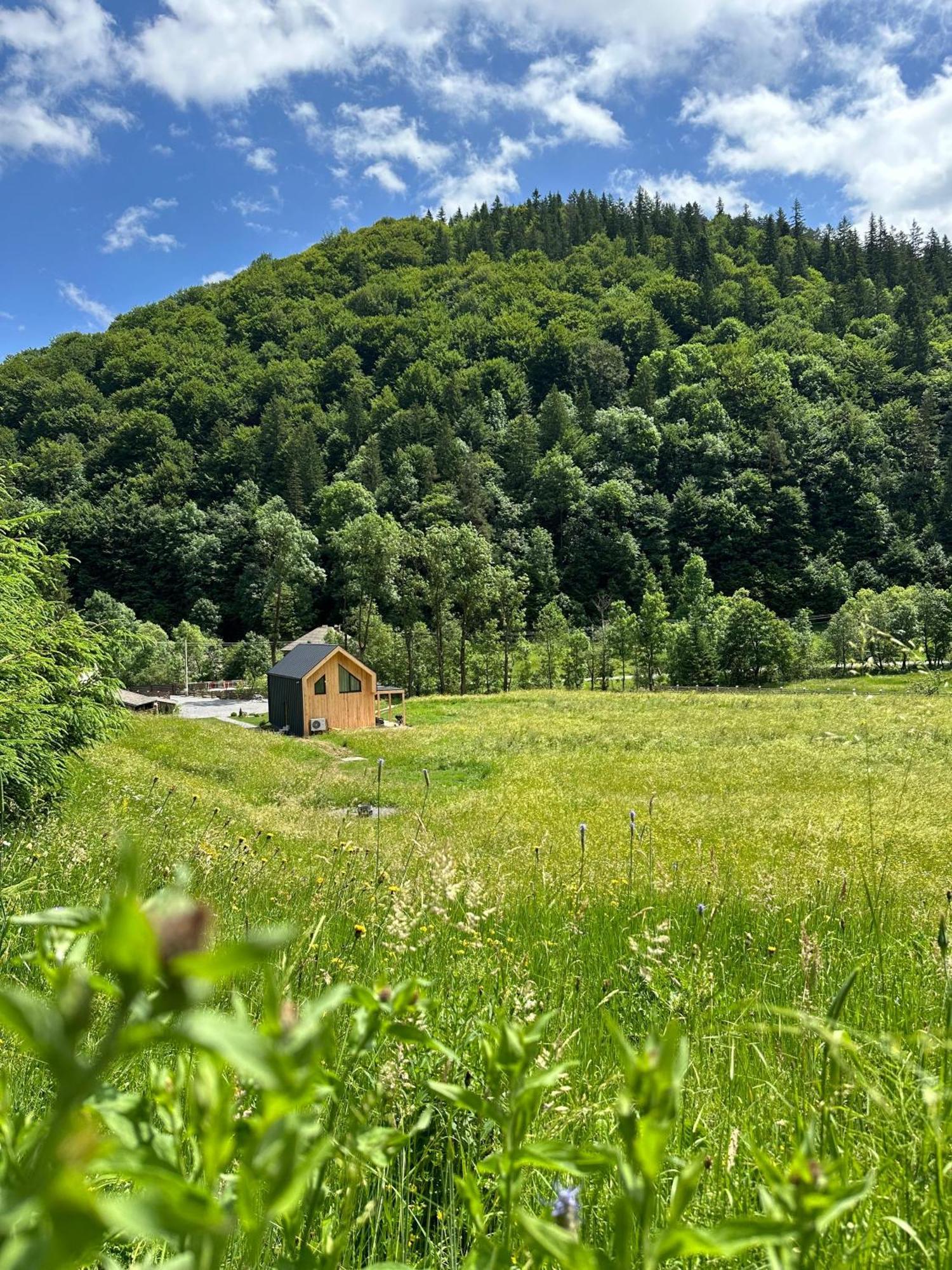 Vama Chalet Vama Buzăului Buitenkant foto